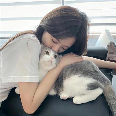 美丽的南方